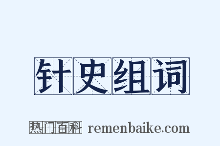 针史组词是什么意思的图片